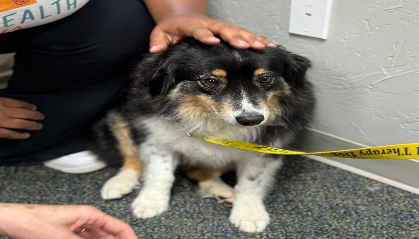 A Chance to Change Foundation