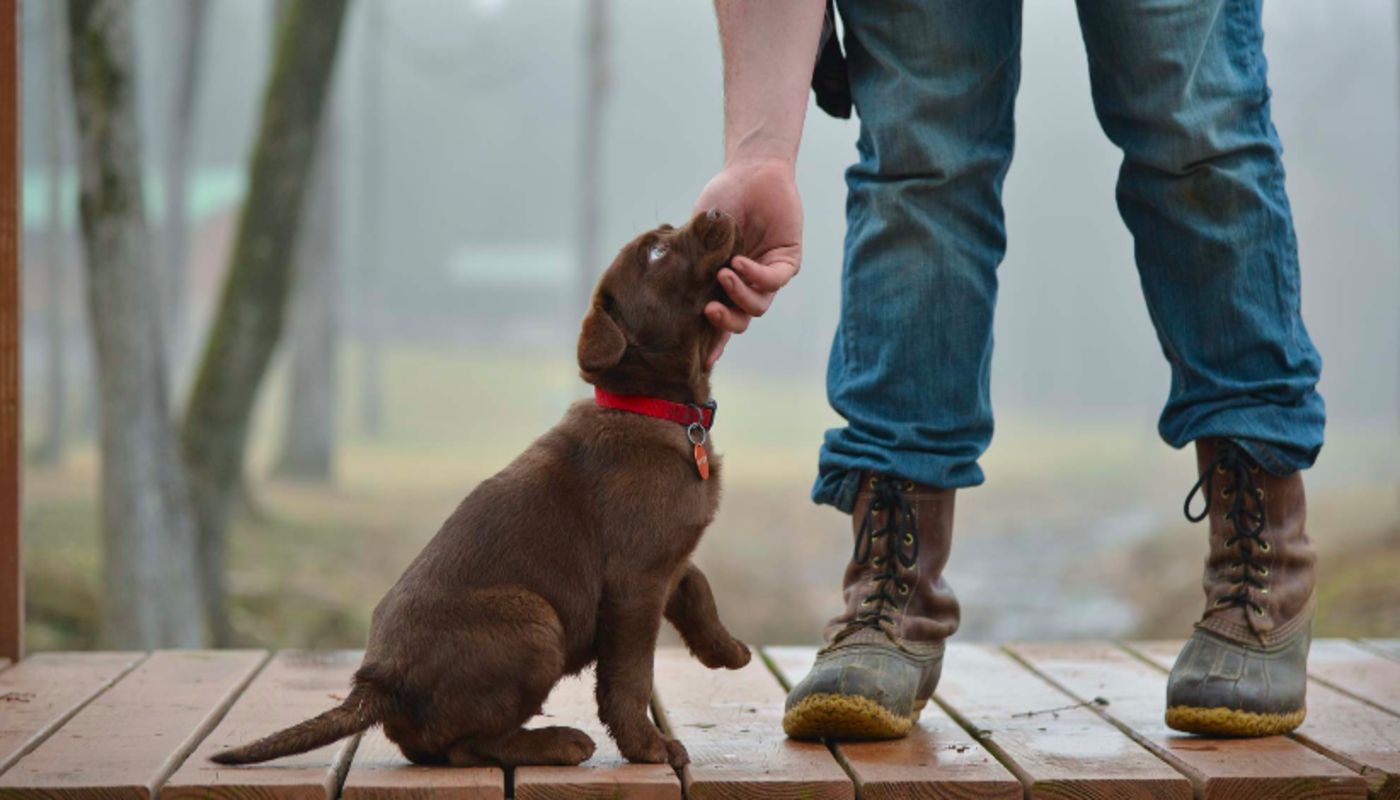 Capstone Treatment Center