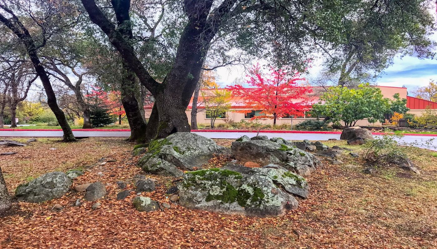 Chapa-De Indian Health