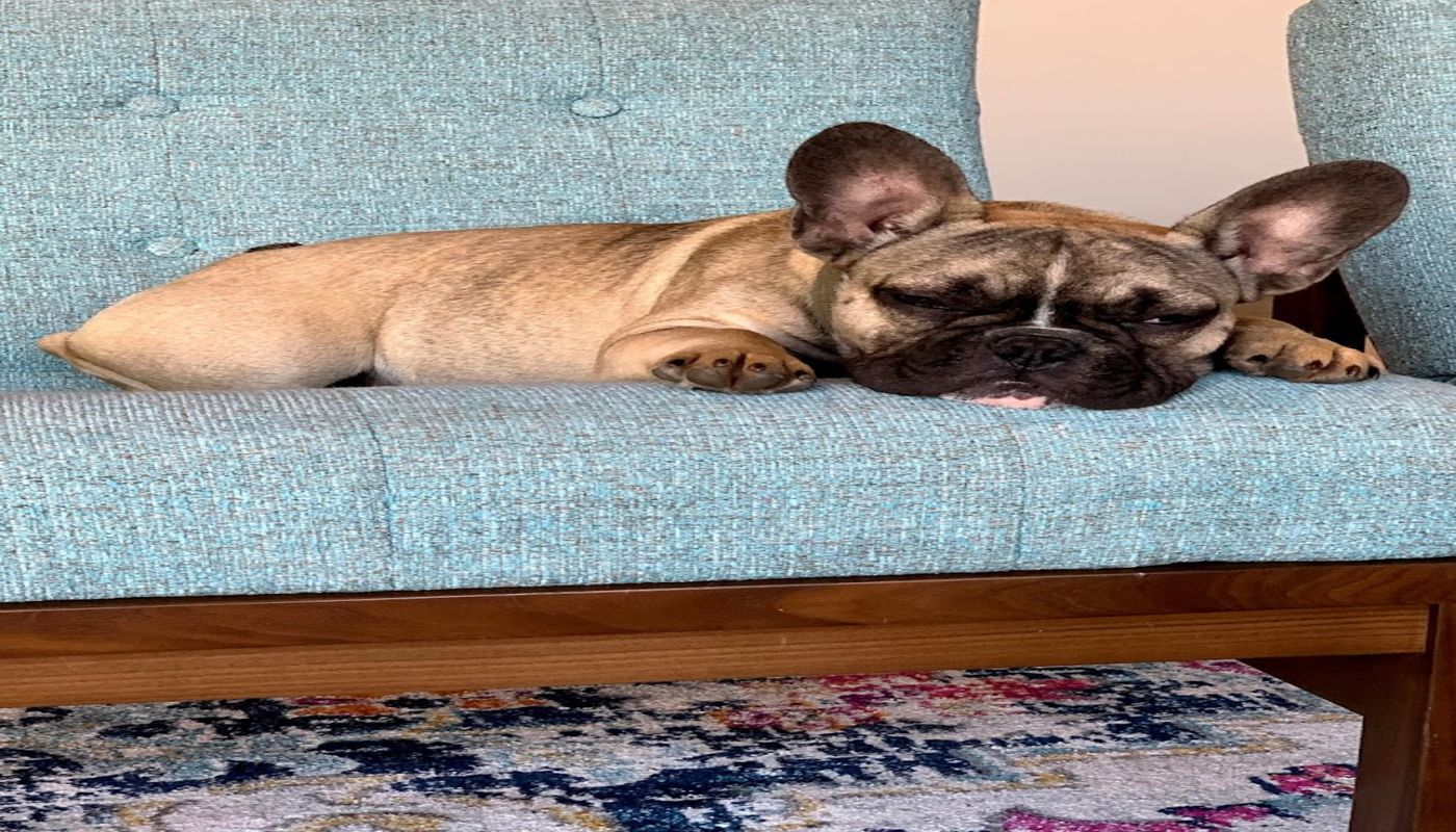 Compass Whole Health