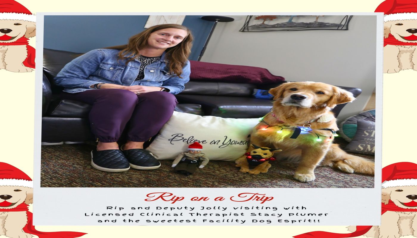 Dunn County Human Services