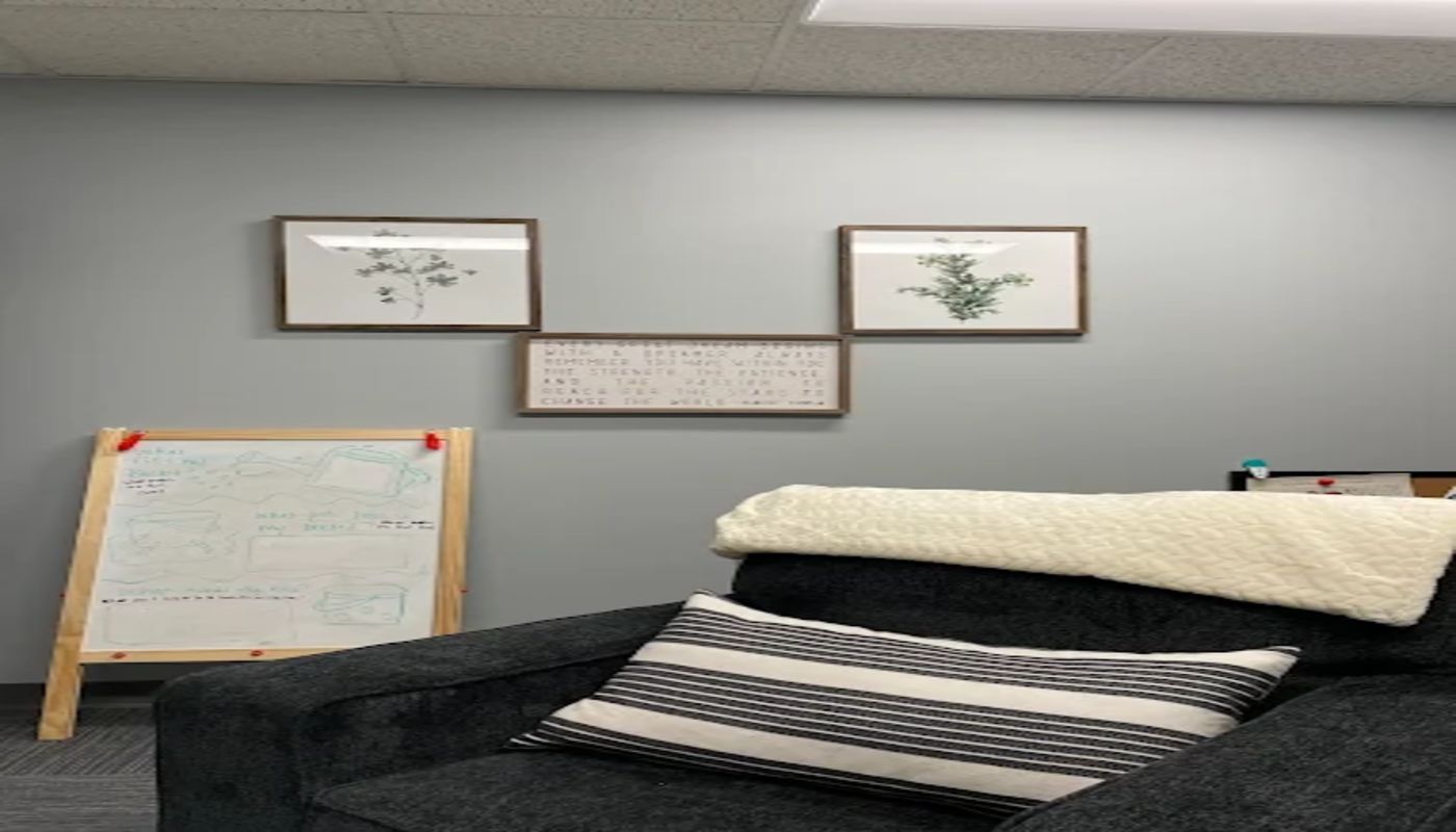 Ellie Mental Health Bannockburn Illinois