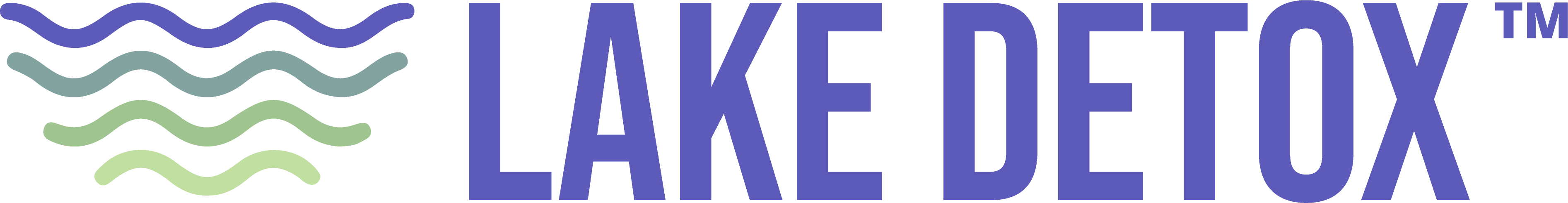 Lake Wellness Center