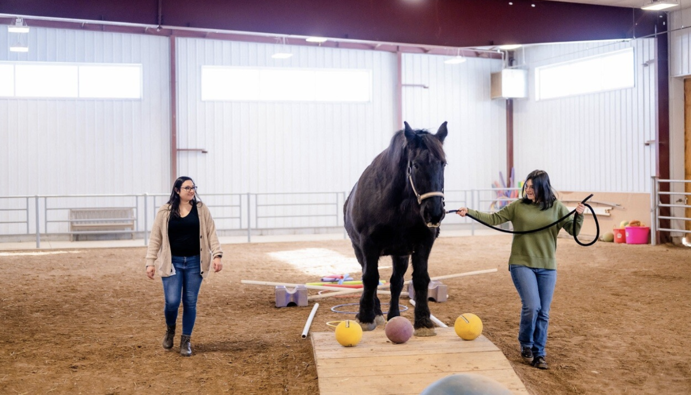 Rawhide Youth and Family Counseling