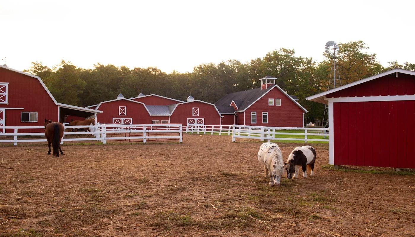 Rawhide Youth Services New London