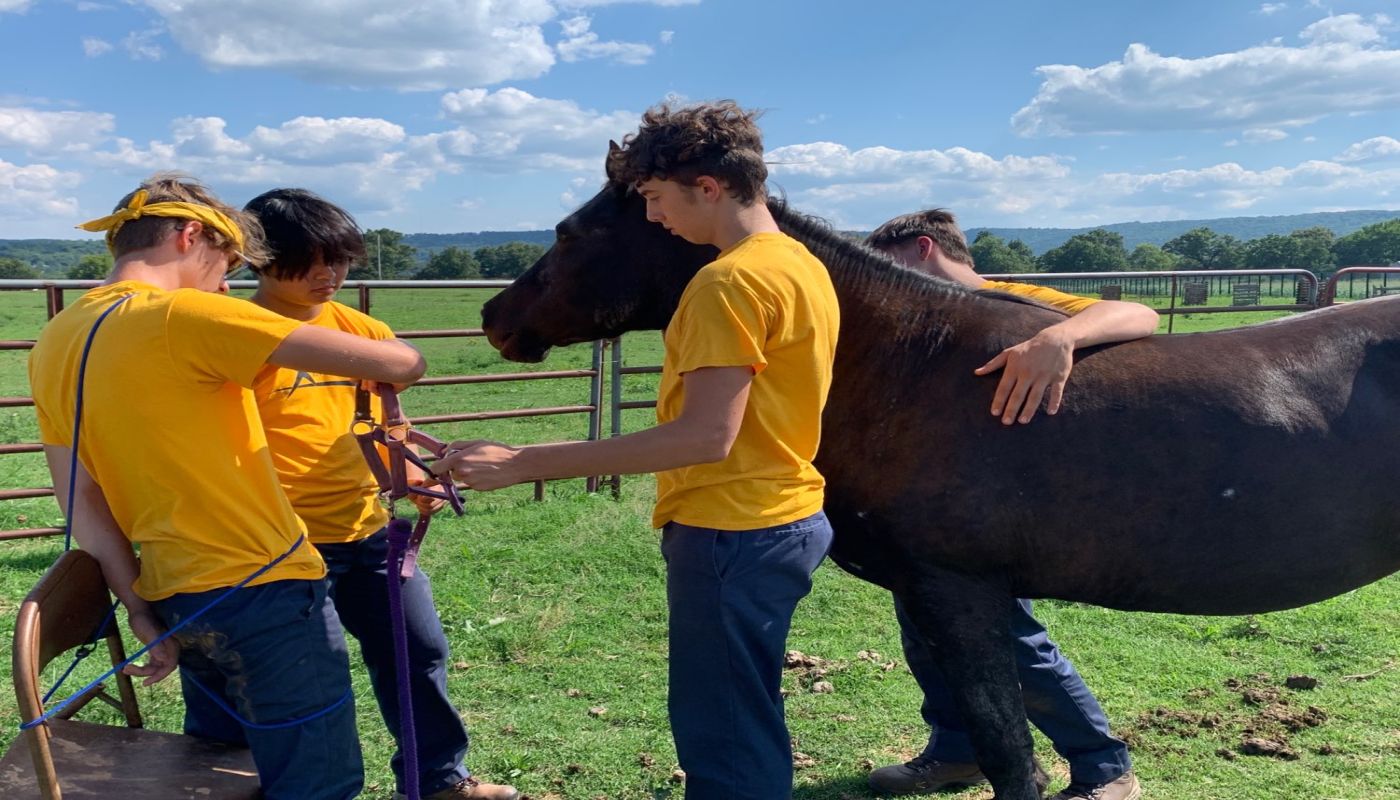 Teen Challenge Adventure Ranch for Boys
