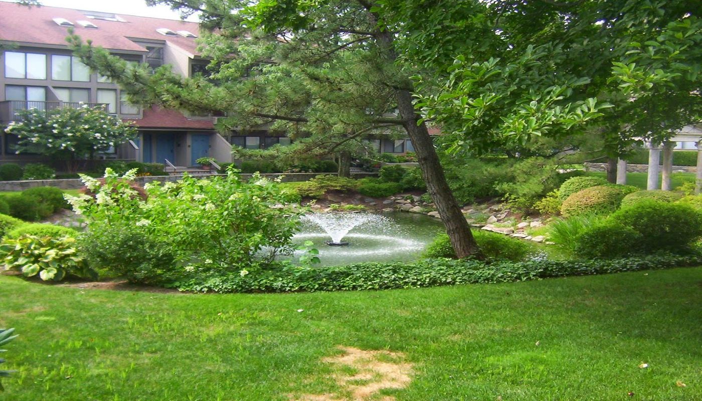 The Renfrew Center White Plains