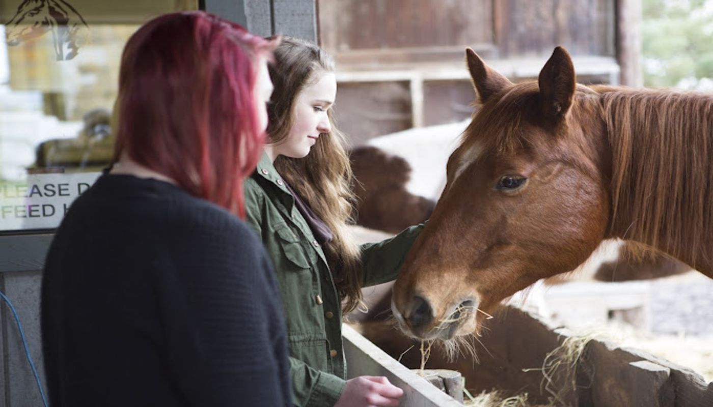 Trillium Family Corvallis