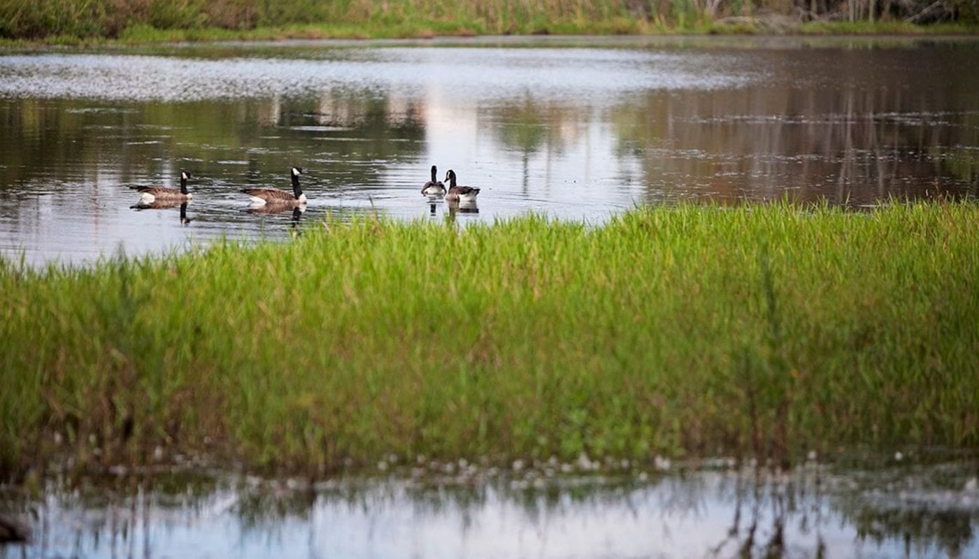 Turning Point Care Center