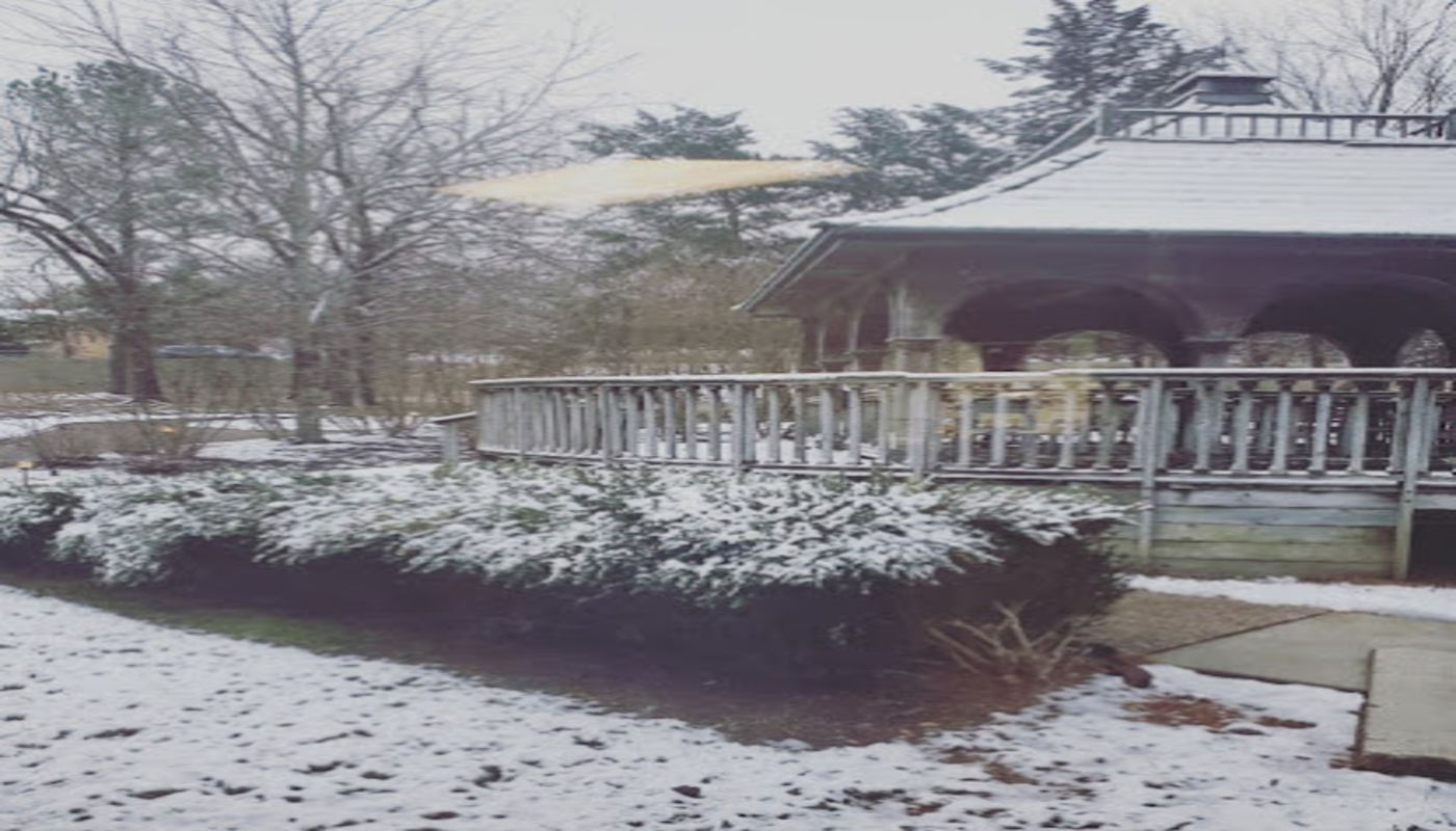 Vantage Point of Northwest Arkansas