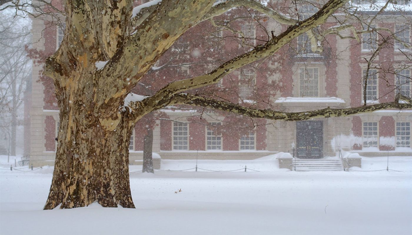 Windhorse Integrative Mental Health - Northampton